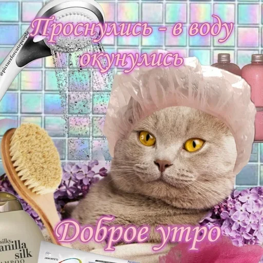 pictureforcutepeople2 2