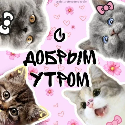 pictureforcutepeople2 4