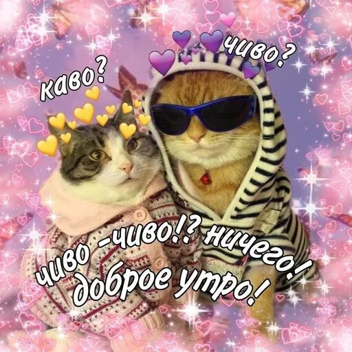 pictureforcutepeople2 5