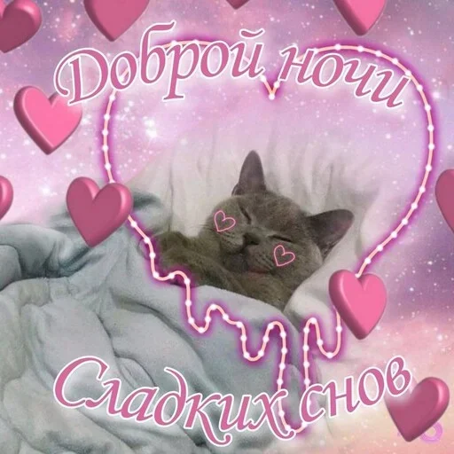 pictureforcutepeople2 6