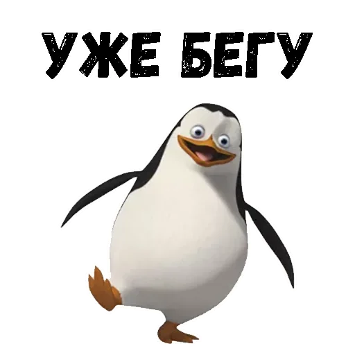 pingvinizmadagaskarapack 5