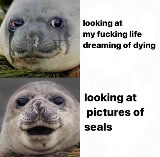 seals4life 2