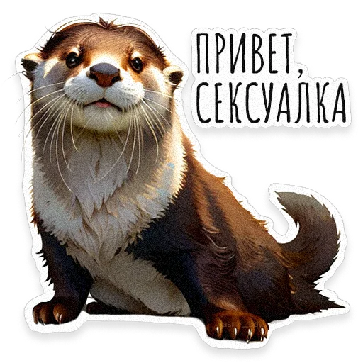 sicilian_otter 1