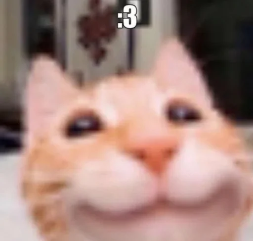sslva 2