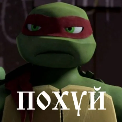 turtles2012bychmosy 5
