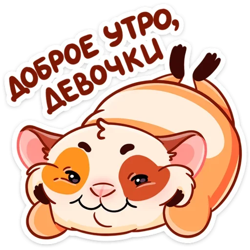 twig_vk 6