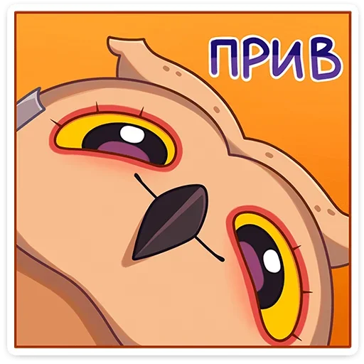 vk_owl 6