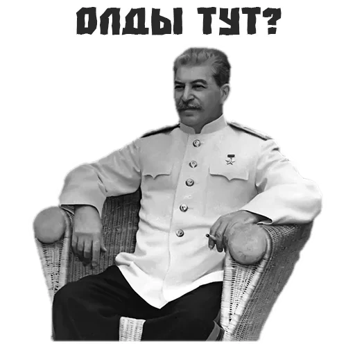 zastalinaspack 1