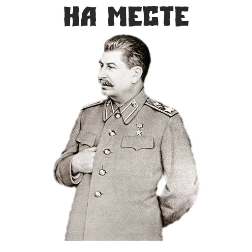 zastalinaspack 2