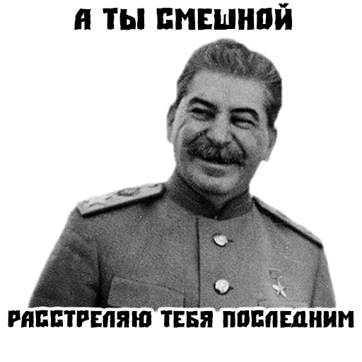 zastalinaspack 4