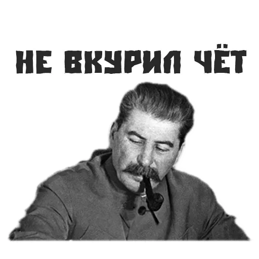 zastalinaspack 6