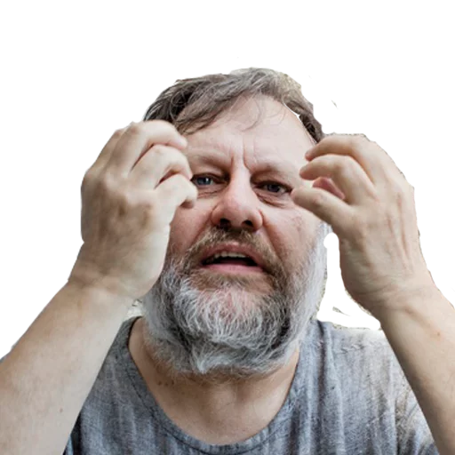 zizek4wirt 2