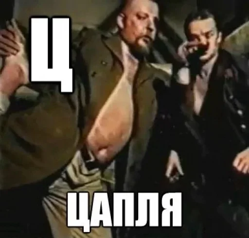 zslonik_alfavit 24